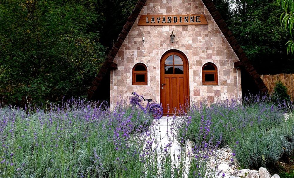  Tărâmul de poveste al lavandei din Gorj!   Un peisaj mirific care impresionează toţi vizitatorii