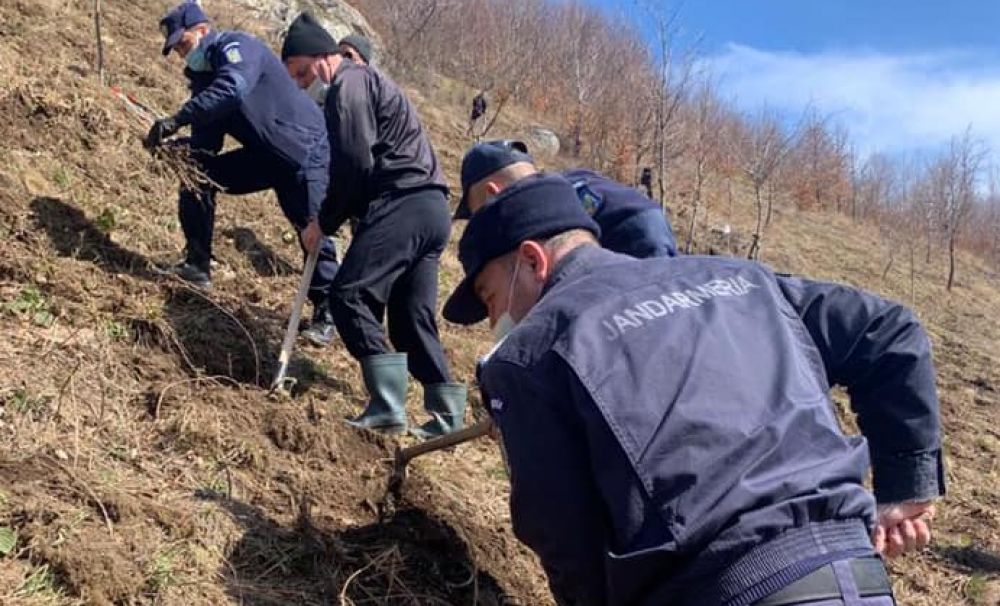 171 de stejari pentru România