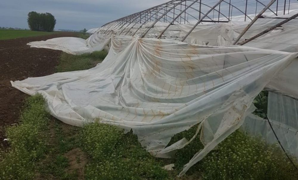 A făcut prăpăd! Vijelia a distrus 50 de solarii în Olt! 