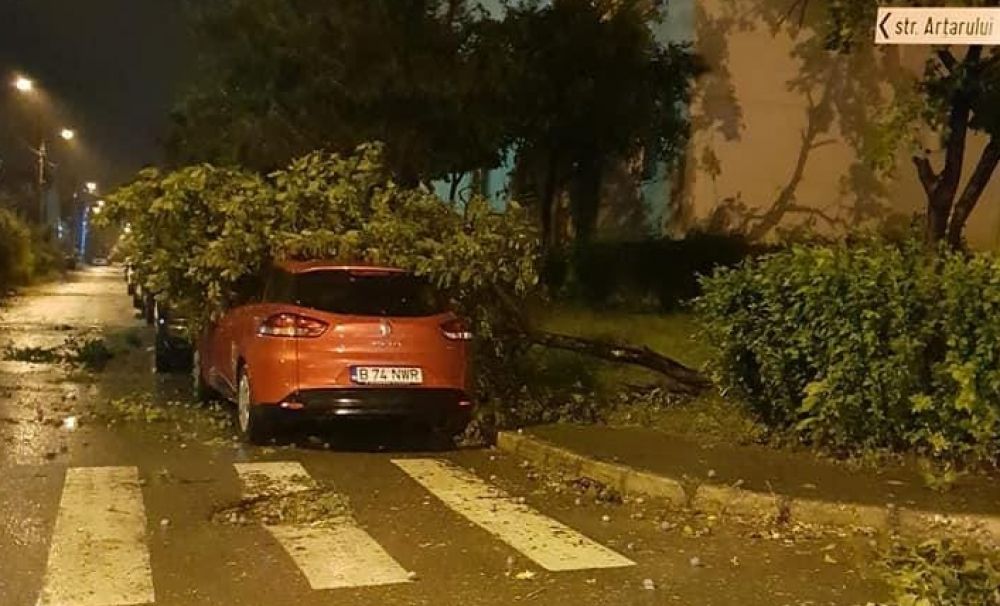 A fost urgie în Dolj! Zeci de copaci s-au prăbuşit pe maşini