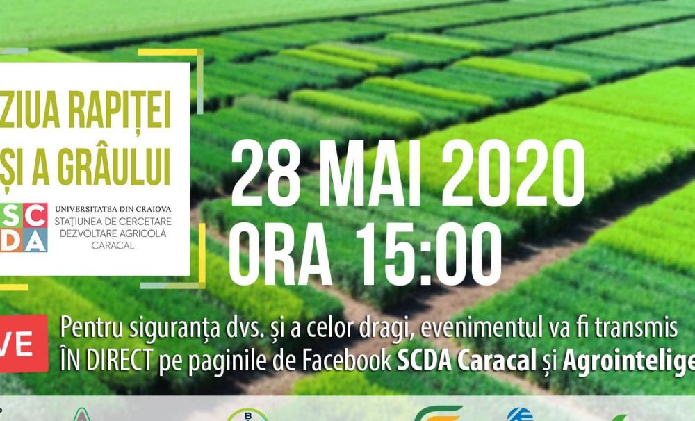 Agrointel : Eveniment de excepție JOI, 28 MAI, la SCDA Caracal: ZIUA RAPIȚEI ȘI A GRÂULUI – ÎN DIRECT pentru FERMIERI! I