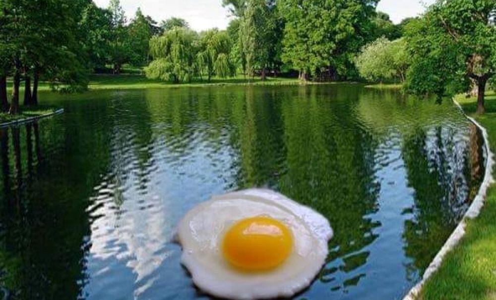 Apariții stranii în Parcul Romanescu din Craiova. Ce le este sugerat edililor