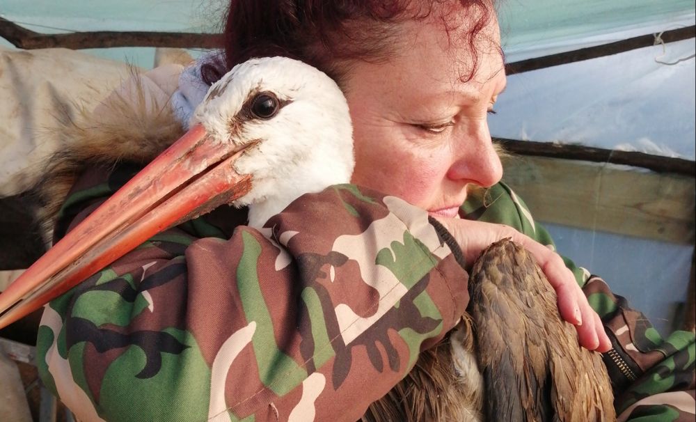 Asociaţia care face minuni pentru animale şi păsări! A salvat o barză cu penele distruse de ulei