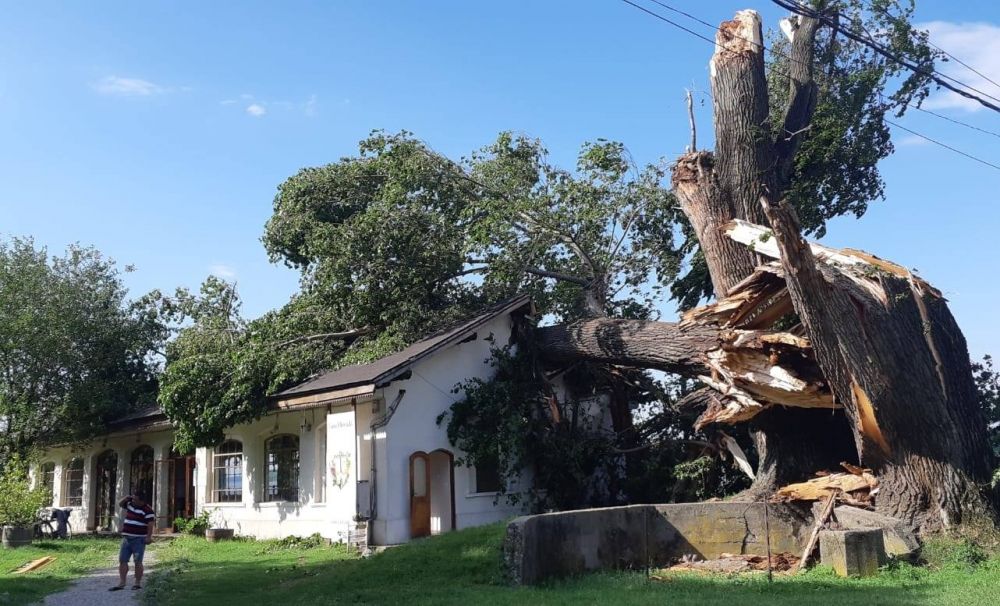 DINESCU, LOVIT DE FURTUNĂ! Portul Cultural de la Cetate a fost grav afectat. Divan Film Festival nu va mai avea loc