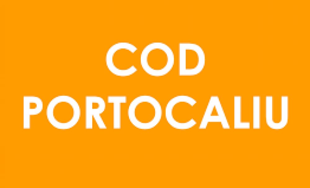 COD PORTOCALIU DE INUNDAȚII ÎN JUDEȚUL MEHEDINȚI