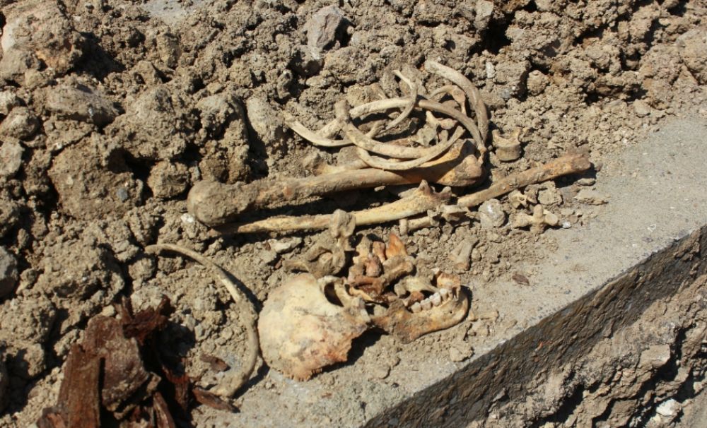 Craniu şi mai multe oase descoperite într-o comună din Olt!  Procurorii au deschis dosar penal  pentru omor calificat