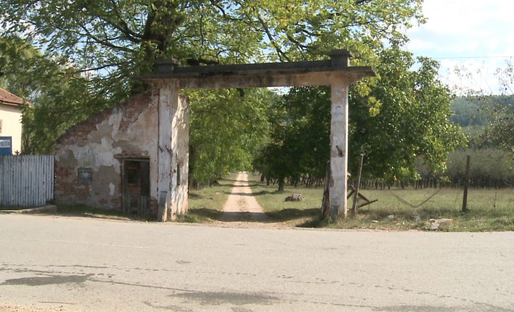 Cui datorăm Cabernetul de Sâmburești?