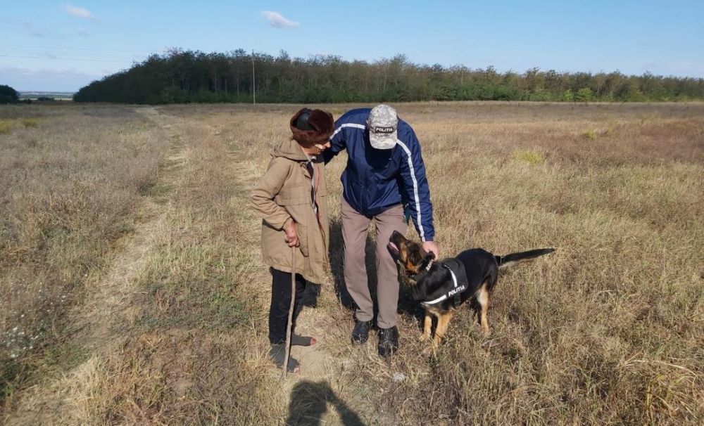 Dispărut! L-au găsit cu ajutorul câinilor de căutare şi salvare