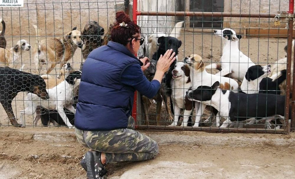 DSV Dolj închide adăpostul de animale de la Desa