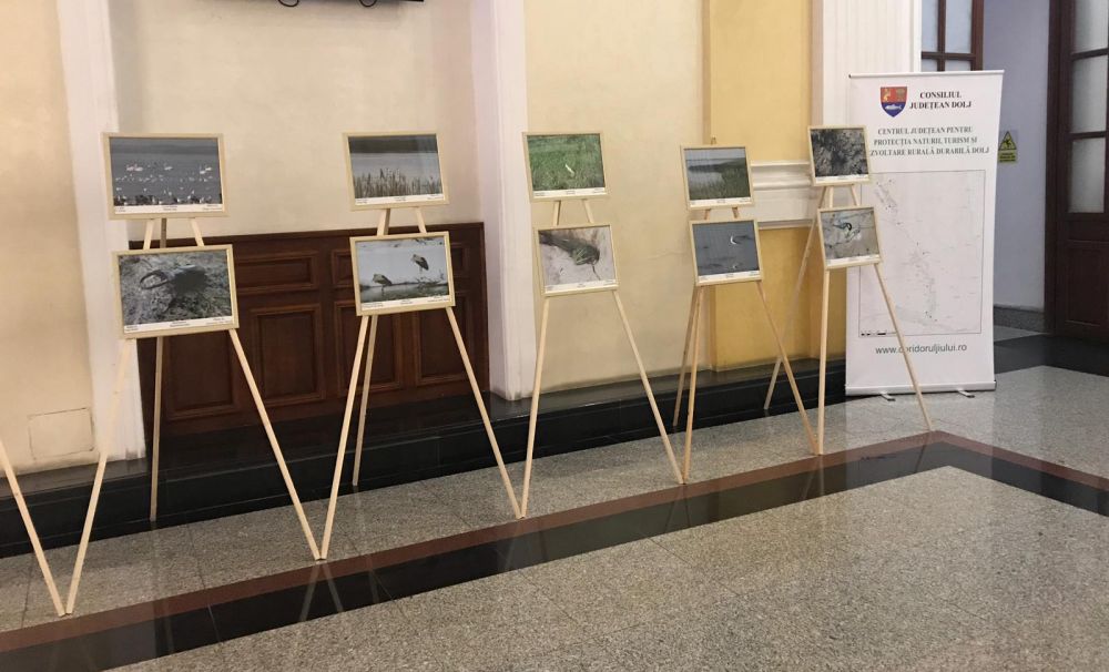 Expoziţie inedită în holul Universităţii din Craiova