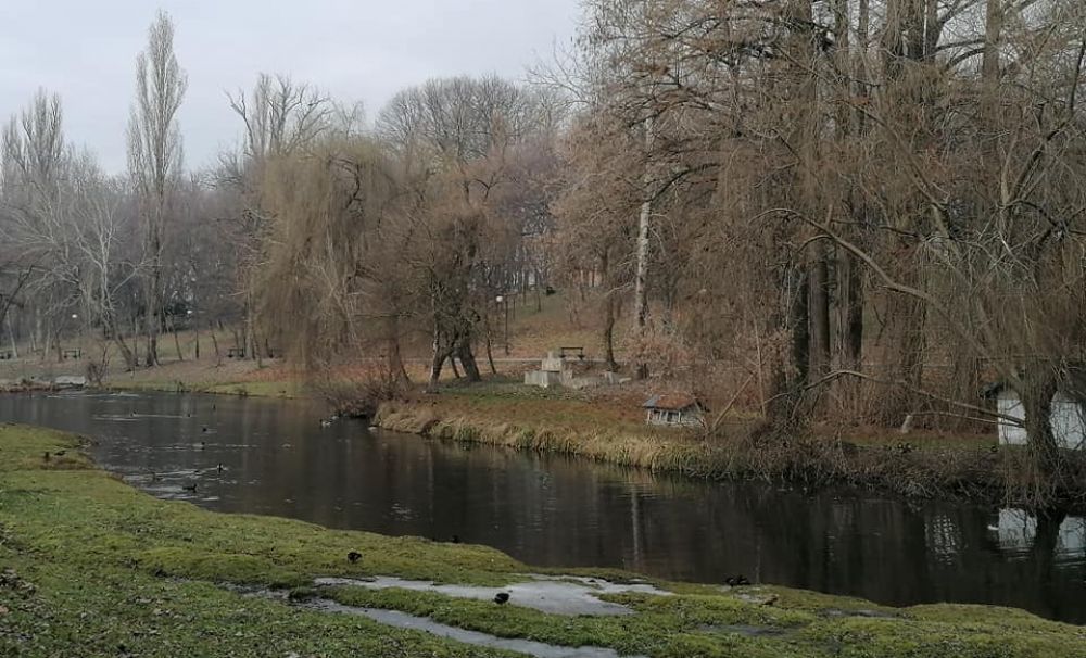 Grădina Botanică, Parcul Nicolae Romanescu și Parcul Hanul Doctorului vor fi închise temporar pentru dezinsecție terestră în data de 1 aprilie 2021