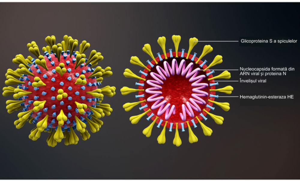Măsuri excepționale în România pentru evitarea răspândirii coronavirusului. Evenimente publice de anvergură, interzise