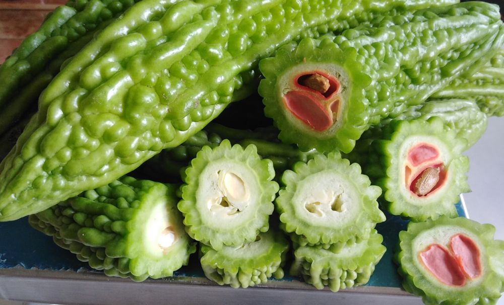 Momordica charantia sau insulina verde, o plantă rară cultivată la S.C.D.C.P.N. Dăbuleni  