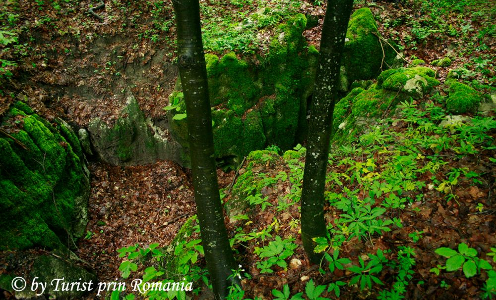 Oborul Jidovilor, spațiu de basm unde uriașii își aveau sălaș