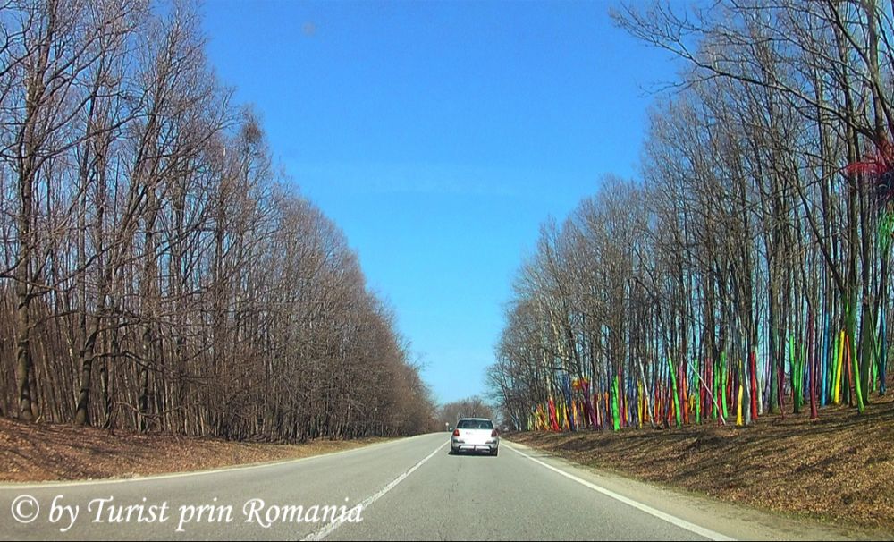Pădurea colorată de lângă Poienari, o creație a artistului Mihai Țopescu