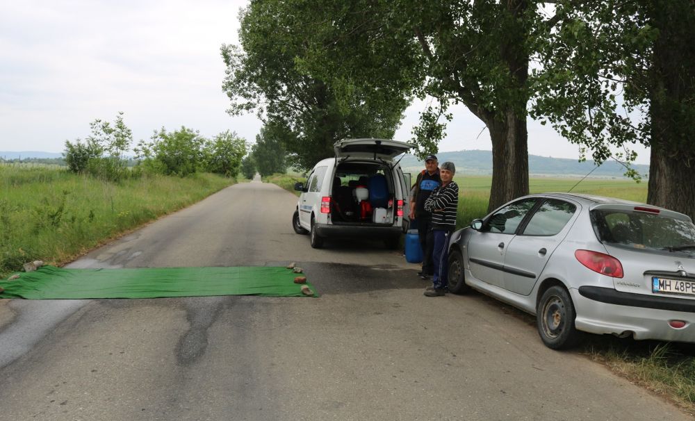 Peste 600 de porci din Mehedinţi vor fi ucişi din cauza pestei porcine