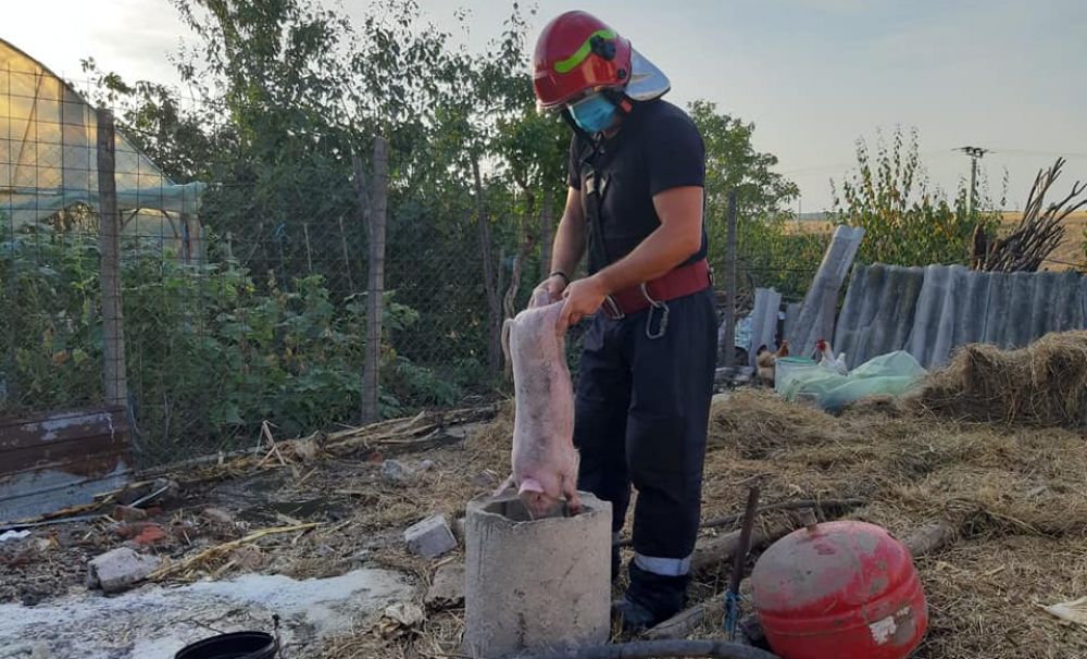 Pompierii salvatori! L-au salvat pe Ghiţă dintr-o fosă septică