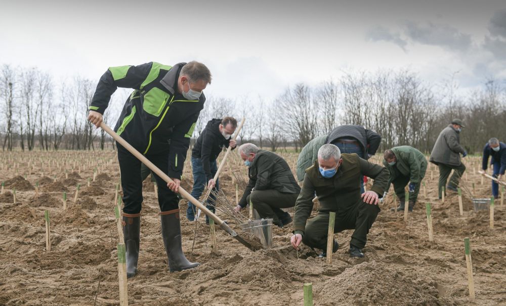 Președintele Klaus Iohannis și premierul Florin Cîțu au plantat pomi la Dăbuleni