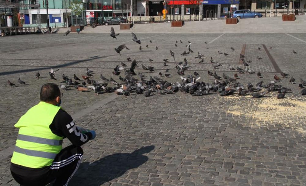 Primăria Râmnicului are grijă şi de porumbeii din Scuarul Mircea cel Bătrân până când trece pandemia