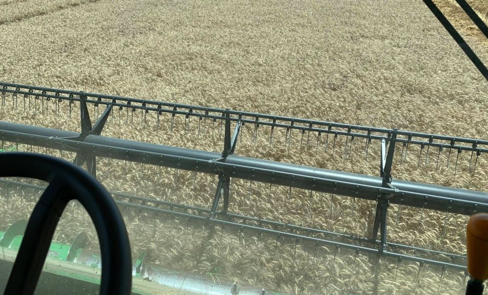 Producţie record de grâu la Staţiunea de Cercetare Agricolă Caracal