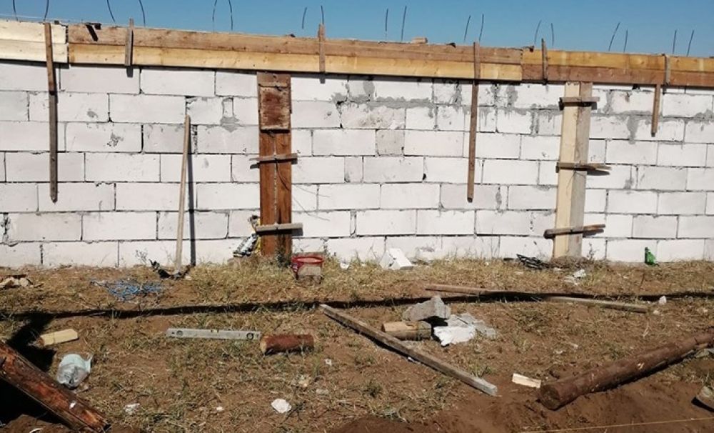 Proprietara adăpostului din Dolj, băgată în datorii din cauza nutriilor lui Dincă