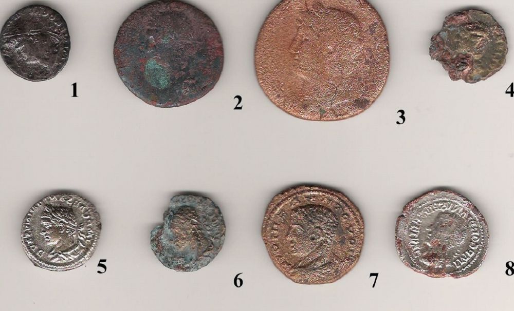 Reşca, cetatea antică ROMULA MALVA