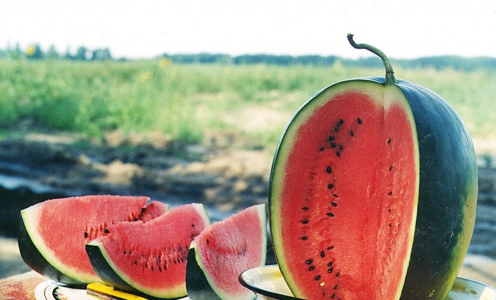 SPECTACOL ÎN AER LIBER - LUBENIȚA DE DĂBULENI