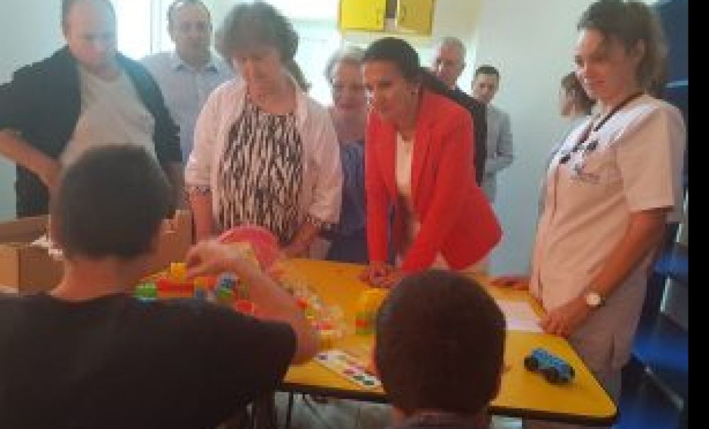 Spitalul de Psihiatrie Cronici Poiana Mare va avea statut de maximă siguranţă