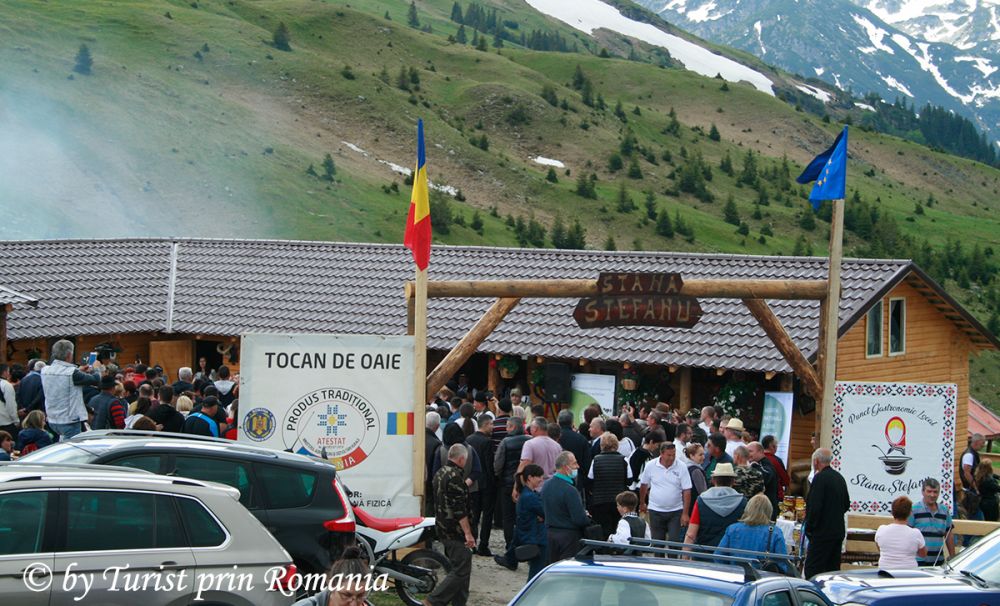 Stâna Ștefanu, pasărea Phoenix a Munților Latoriței