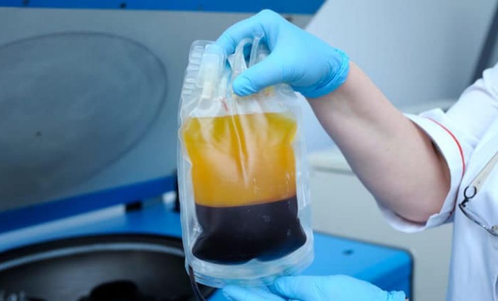 Terapie cu plasmă pentru tratarea persoanelor infectate cu COVID 19, solicitare a președintelui CJ Mehedinți