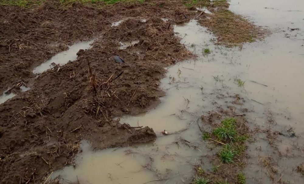 Trei localităţi din Olt, afectate de inundaţii