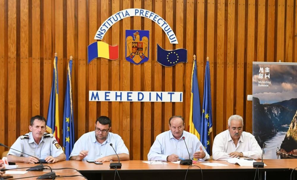 Un nou focar de pestă porcină la Gârla Mare! Autorităţiile judeţene dau vina pe proprietarul porcilor şi nu va fi despăgubit