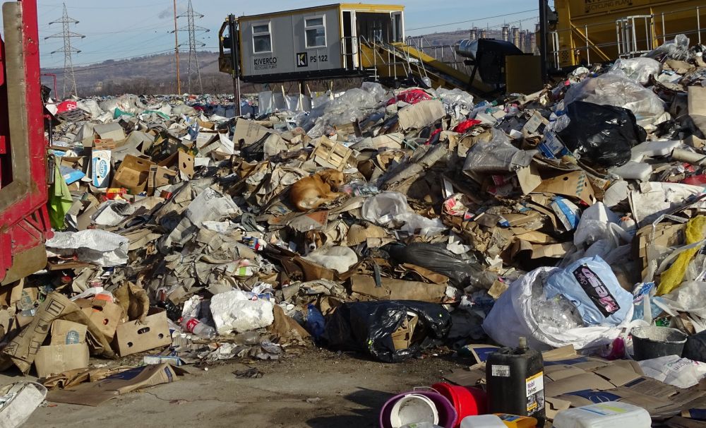 Verificări la firmele din Mehedinţi! Munţi de gunoaie descoperite de comisia de control