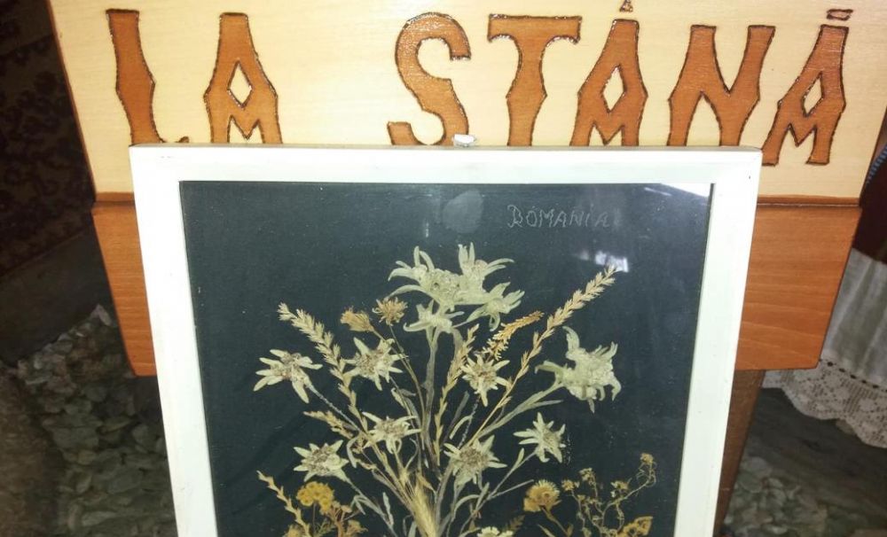 Viaţa la stână. Povestea incredibilă a stânei de pe Transalpina, unde găseşti bucate tradiţionale din carne de oaie